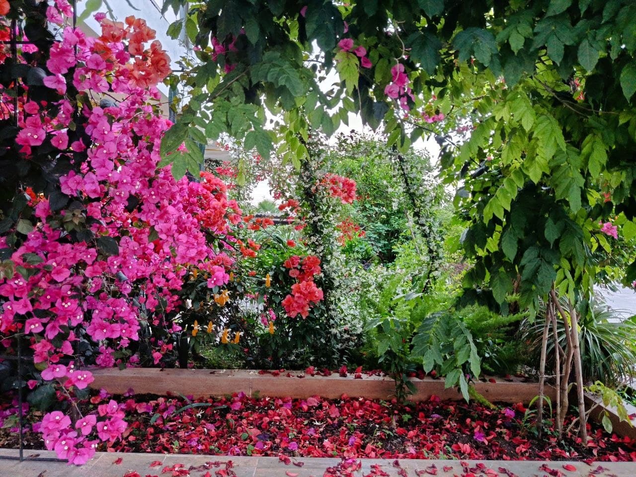 تصویر گالری سهره