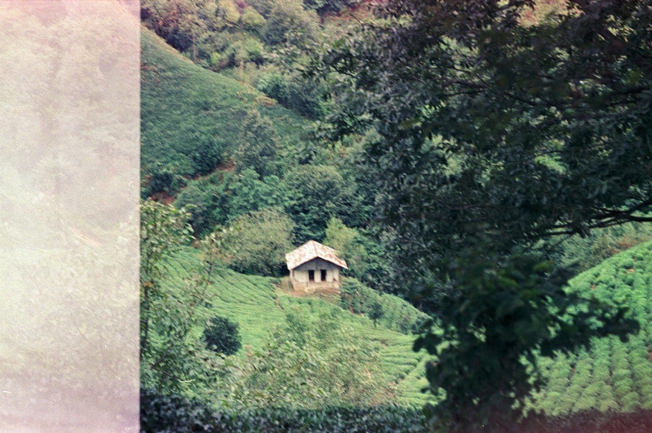 تصویر گالری سهره