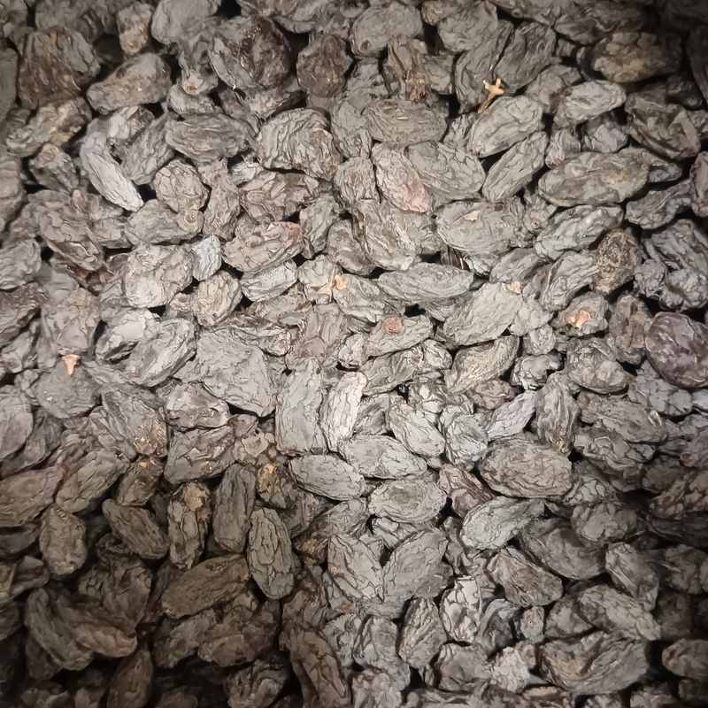 مویز